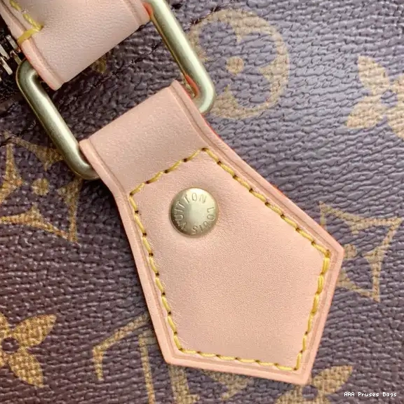 AAA Pruses Bags Louis Vuitton SPEEDY 30 0629